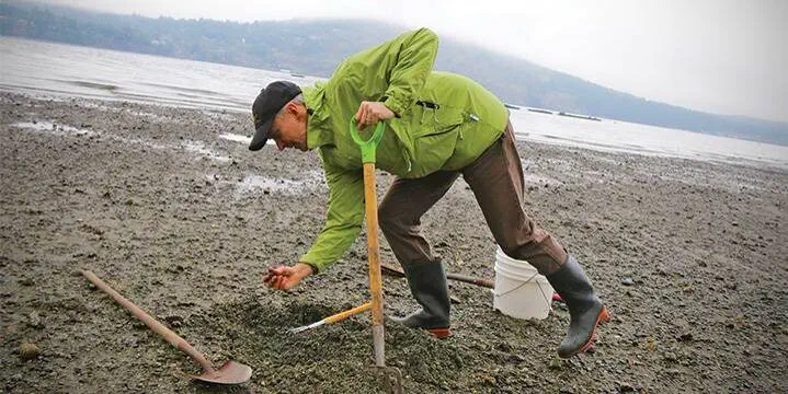 Seafood Splendor – Illness Spikes as Digging Rises