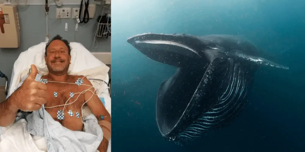 Lucky Fisherman is Glad He Tastes Bad…to Whales