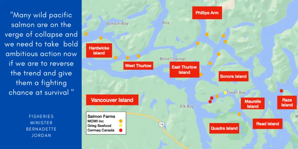 One Little Decision, One Big Victory for Wild Salmon