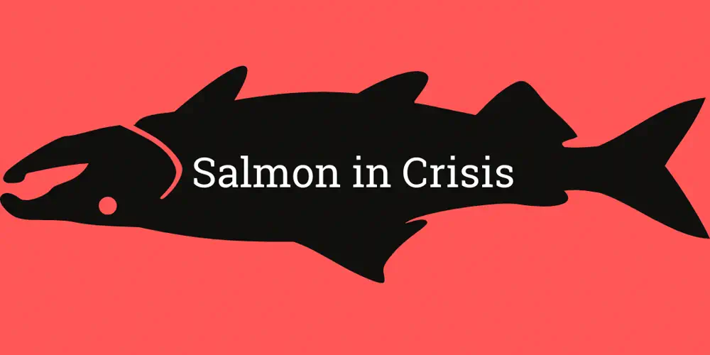 Poll Shows BC Residents Concerned About Open-Net Fish Farms