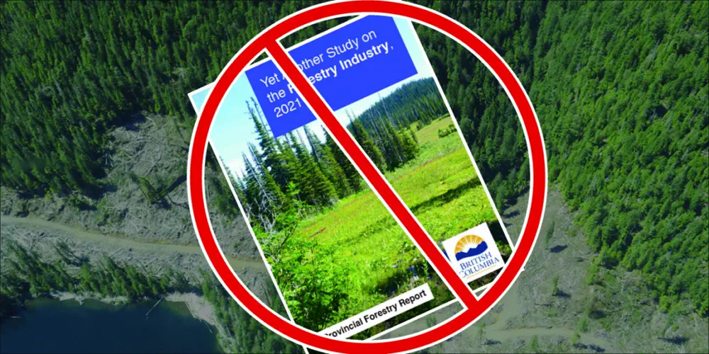 Great – Do We Really Need Another Old Growth Panel?