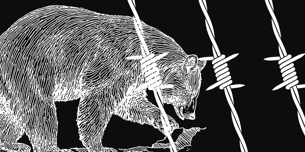 How Some Barbed Wire, Fish Guts and Hair Linked Generations of Grizzly Bears and Humans Together