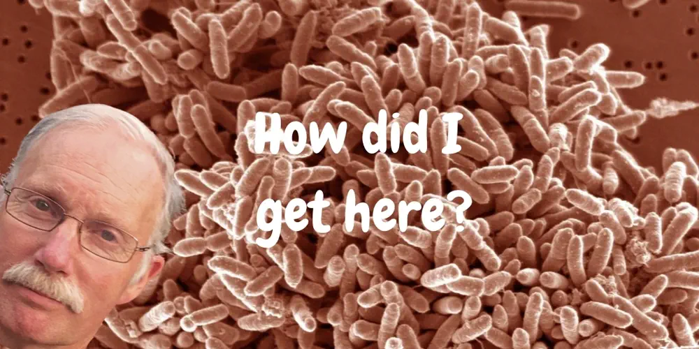Is Climate Change Bringing Dangerous New Bacteria to VanIsle?