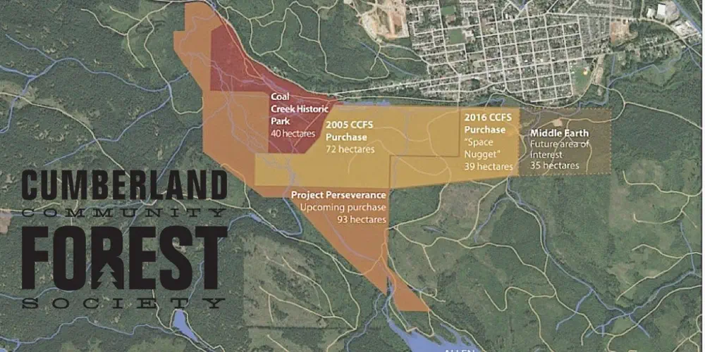 How Buying a Local Forest Is Like Taking 300 Cars off the Road