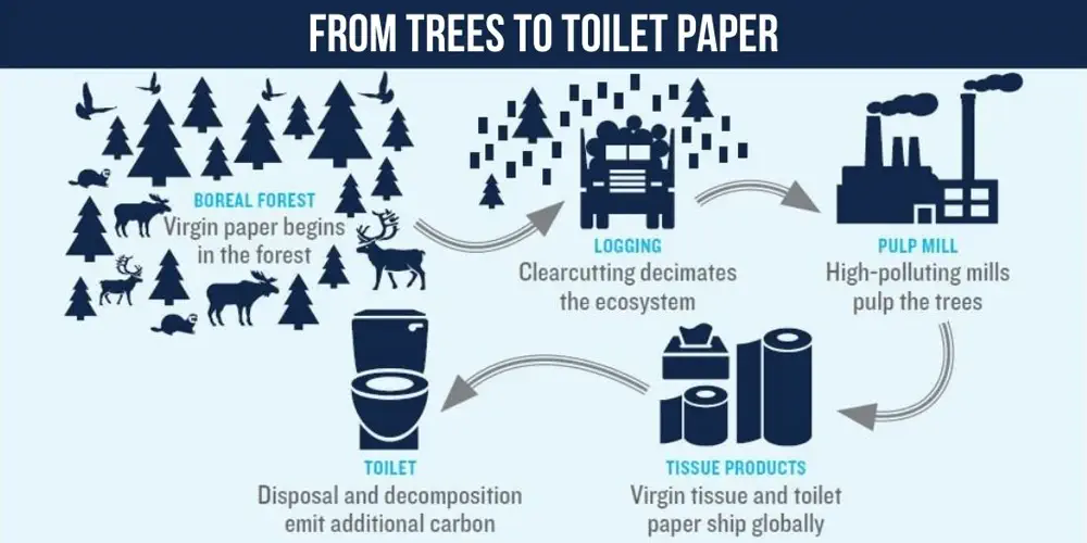 When Someone Flushes Their Toilet in the US, A Tree Falls in Canada