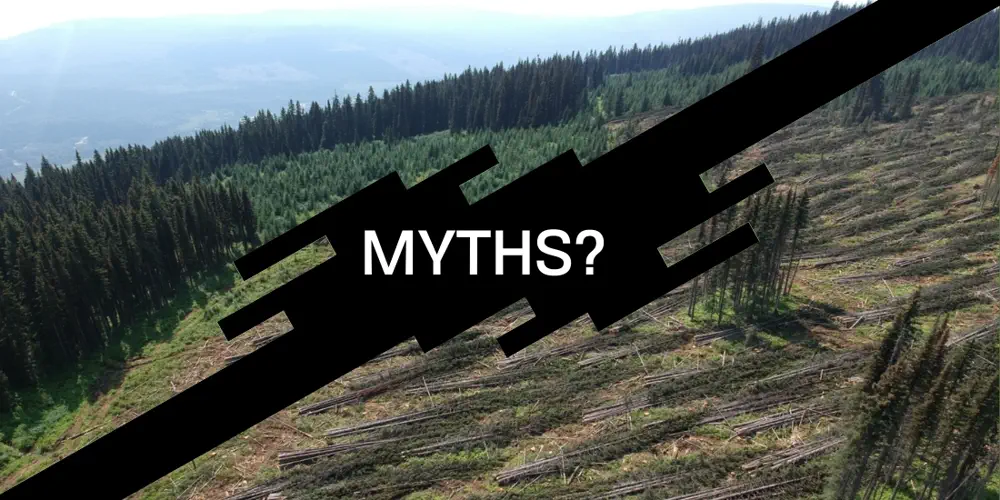 Why Industrial Forestry is Bad for the Planet and Local Communities