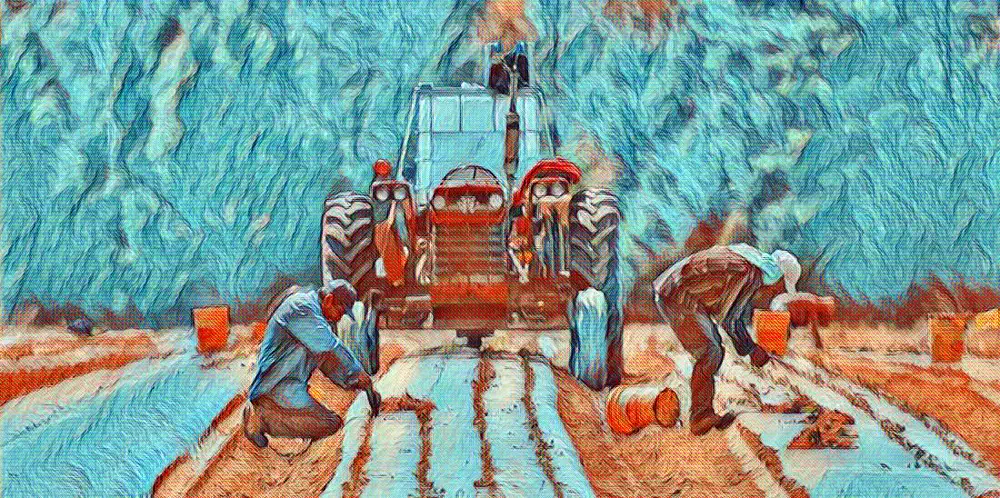 Canada's Auditor General Finds "Systemic Problems" on Farms