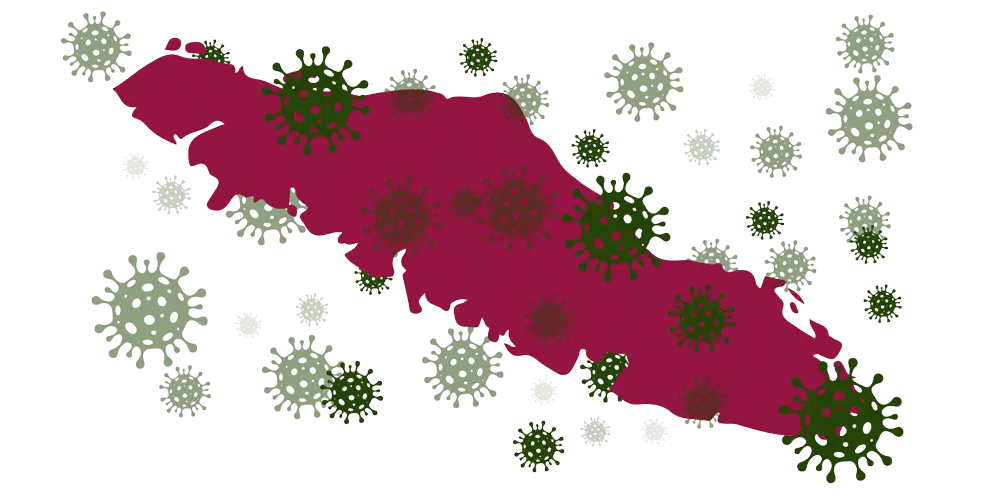 An outline of Vancouver Island in dark red with lots of green COVID molecules scattered over it.