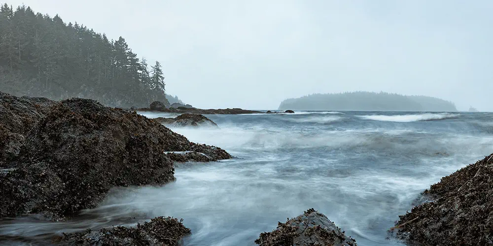 What We Love: Stormy NorthIsle
