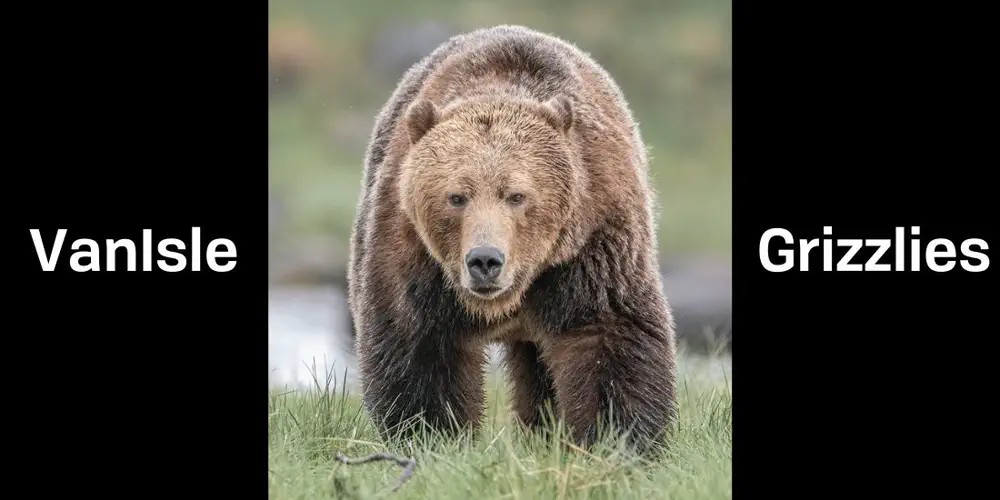 What We Love: VanIsle Grizzlies