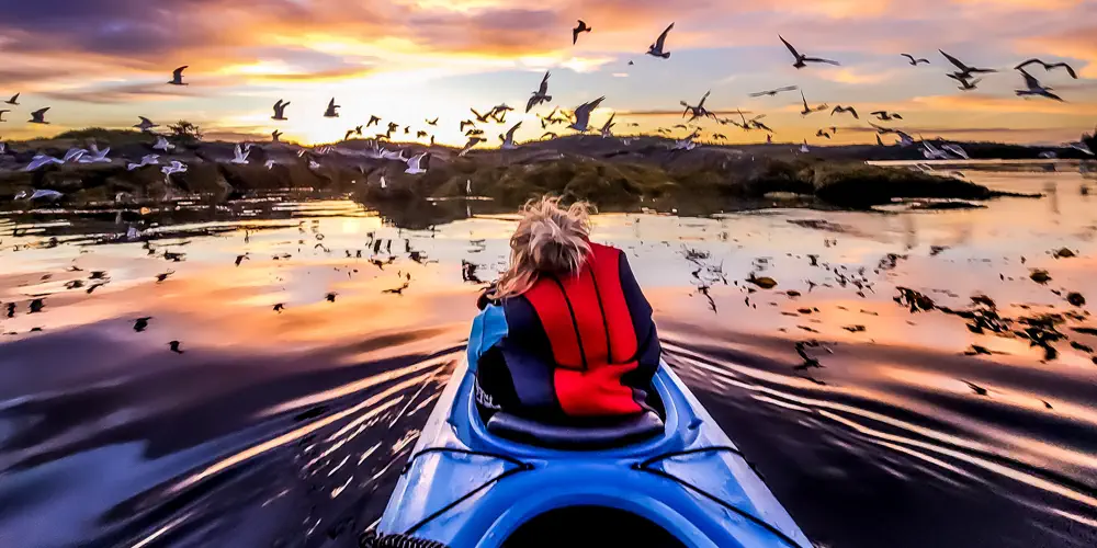 What We Love: Kayaking at Storey's Beach