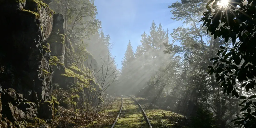 What We Love: Low Angle Light on the E&N Railway