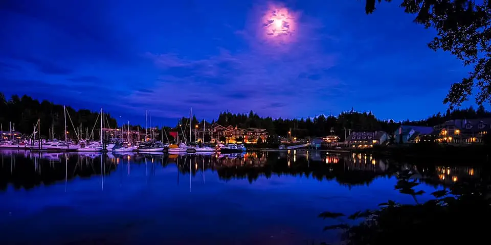 What We Love: Ucluelet By Moonlight