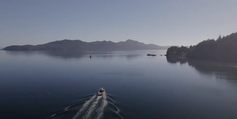 What We Love: Port Hardy and the North