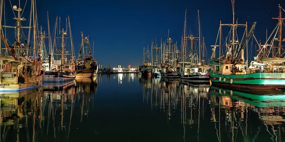 What We Love: Stars Reflected in Comox Marina