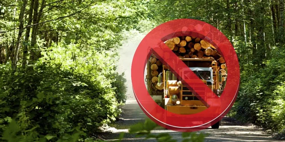 Big Private Land Logger Plans to Make Money From Not Logging