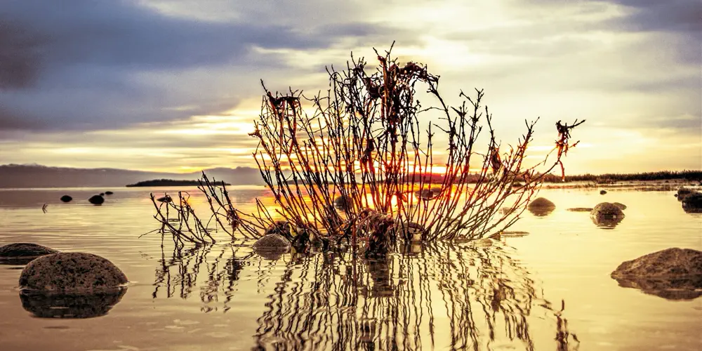 What We Love: Sunrise at Rathtrevor Provincial Park