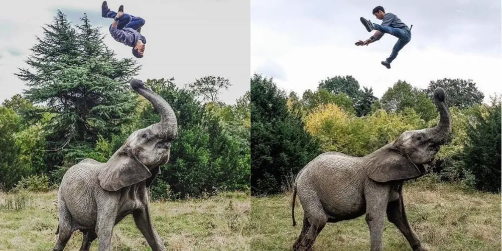 What We Love: Crazy Elephant Stunts