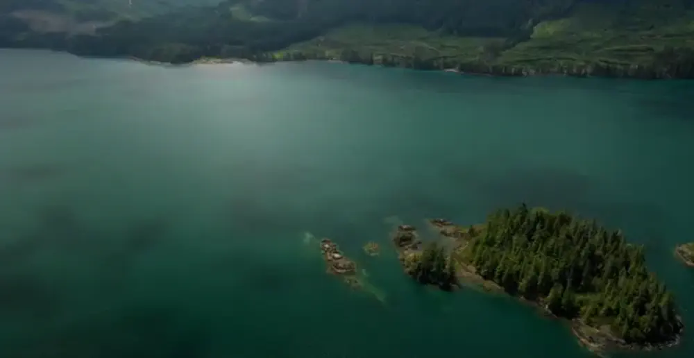 What We Love: Views of Port Alice from Above