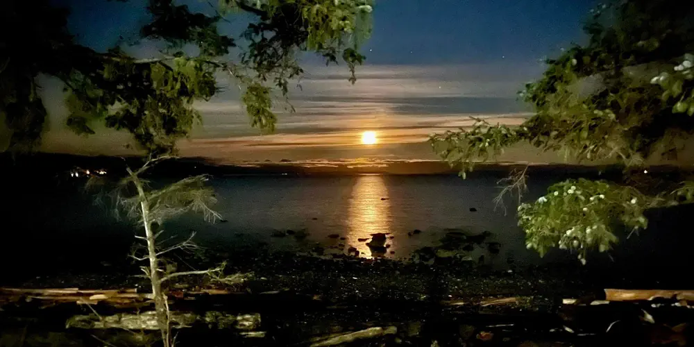 What We Love: Moon Over Campbell River