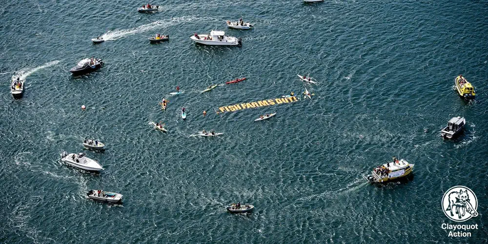 A drone shot of boats circling on the water around a floating sign that reads "Fish Farms Out."