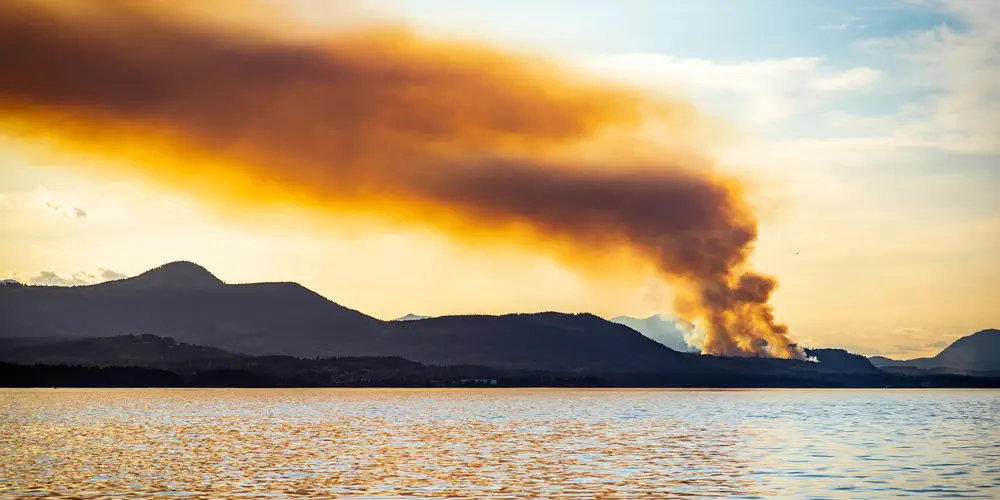 A forest fire burns in the distant sunset.