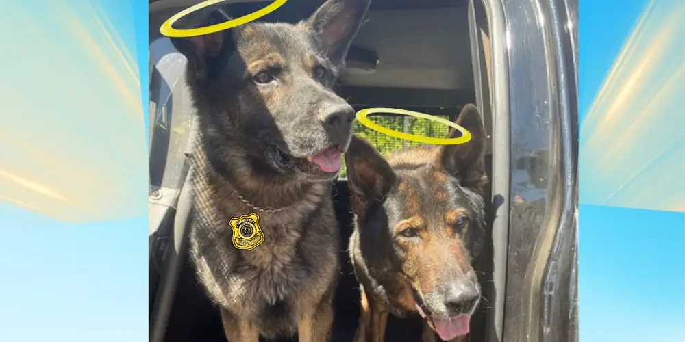 Communities Rally to Raise Money for Police Dog Heaven
