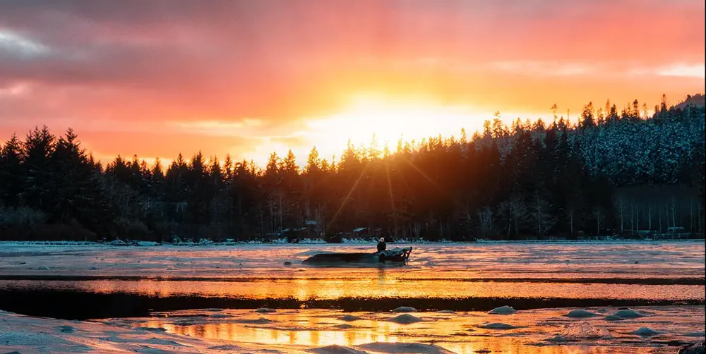 What We Love: Eagles Taking in the Sunset