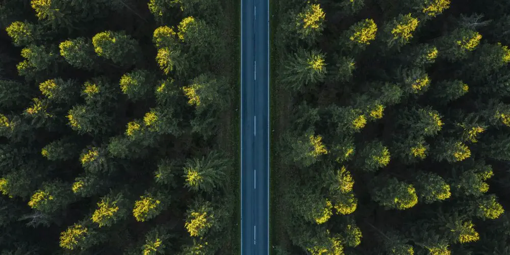 An aerial shot of a straight road through a forest.