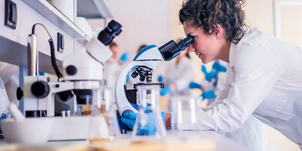 The Barkley Sound Bacteria That Cures COVID