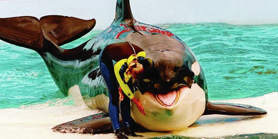 Because Of A Promise To His Daughter, Lolita Is Coming Home