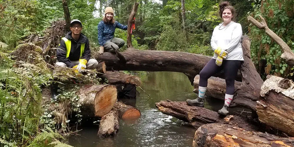 Save Simms Creek – Local Biodiversity Hotspot Threatened by Housing Proposal