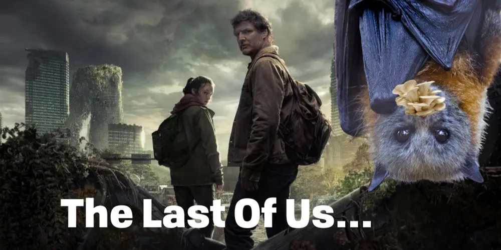 The Last Of Us…Bats?
