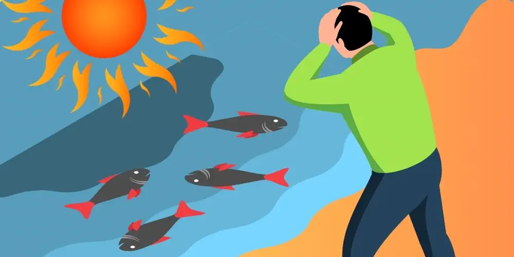 You Think The Heat Dome Was Bad? Our Oceans Are Taking The Biggest Hit