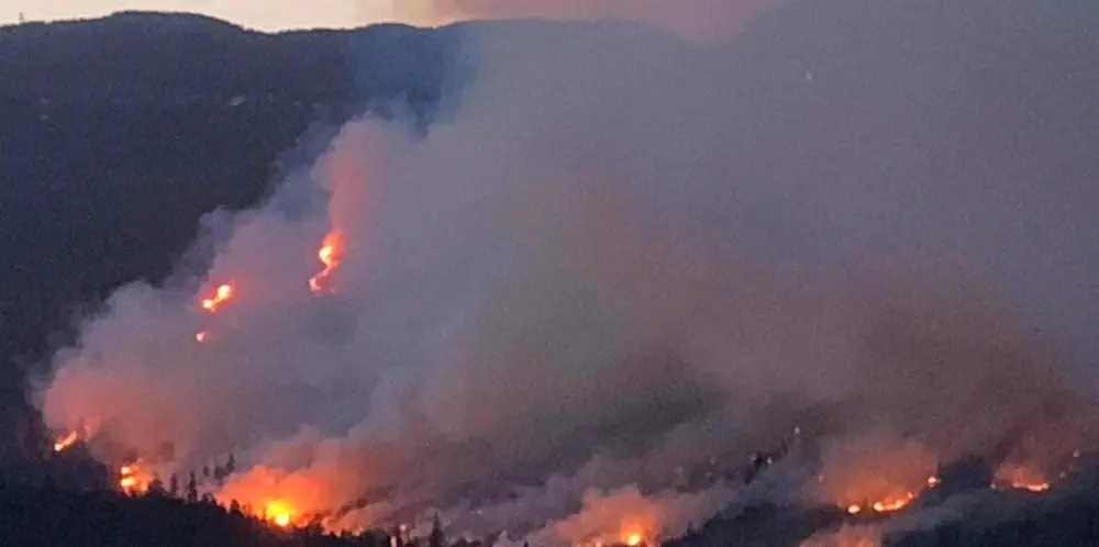 Oh, No! There's Smoke In The Air