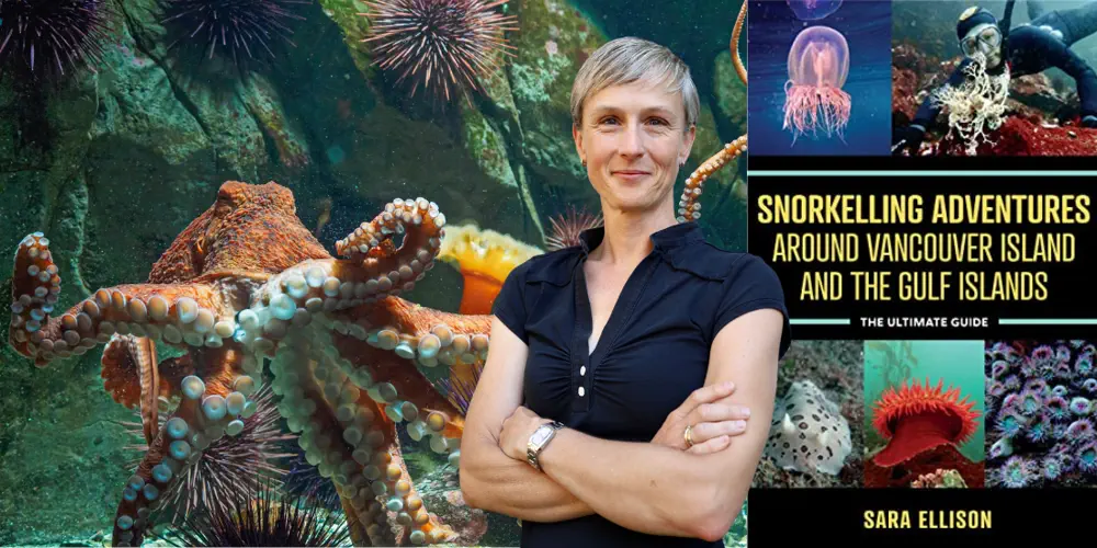 The Ultimate VanIsle Snorkelling Guide