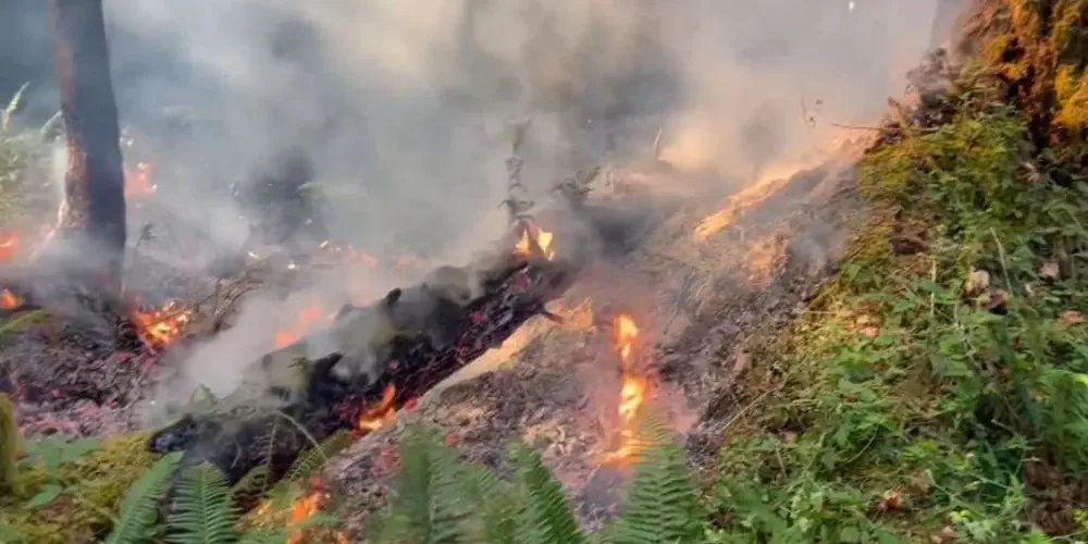 Wildfire Crews Fight Trio of "Suspicious" Forest Fires