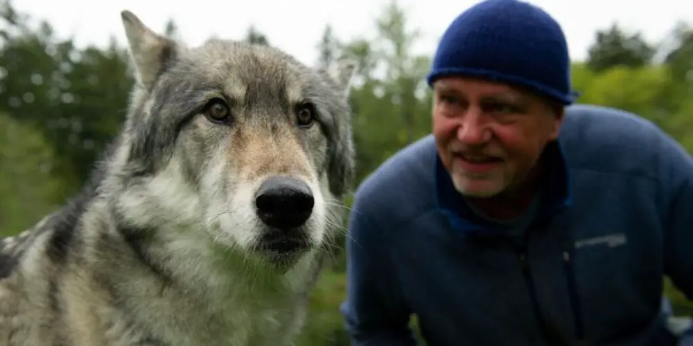 Get To Know The Islanders Who Are "Part Of The Pack"