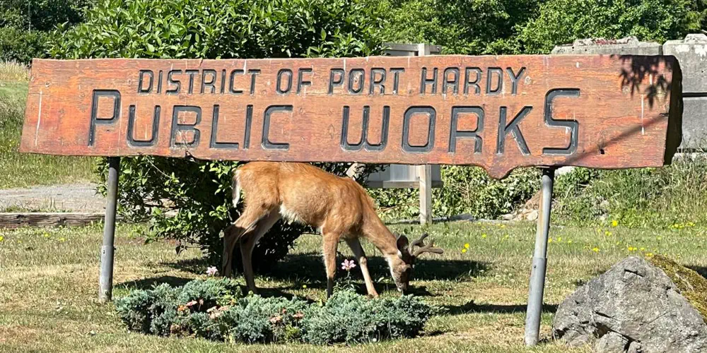 What We Love: Deer Mowers