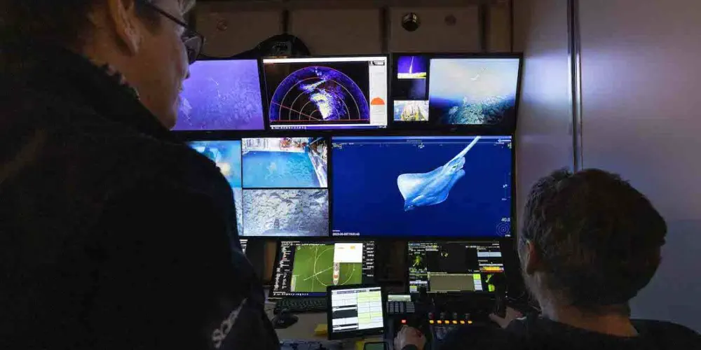 VIDEO: Explorers Capture Deep Sea Super Volcanos And More!