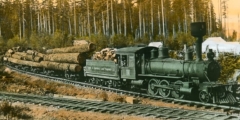 Old picture of logs being transported by the Comox-Campbell Lake Tramway