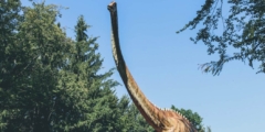 Brown dinosaur