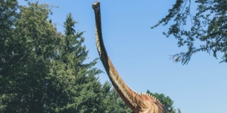 Brown dinosaur