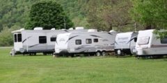 Four camping trailers parked on a sunny day.