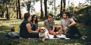 Group of people having a picnic with a dog on a field with thin trees in the background.