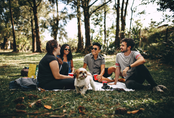 Group of people having a picnic with a dog on a field with thin trees in the background.