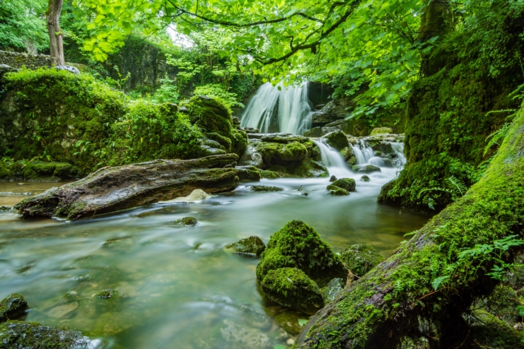 Waterfalls in forest