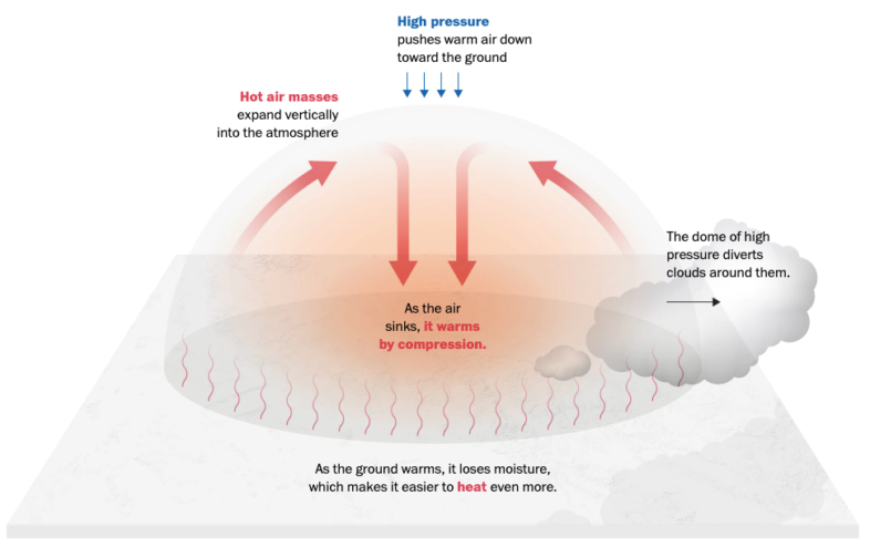 A graphic to explain how the cycle of a heat dome works.