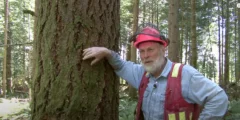 "Living and Working in the Forest"