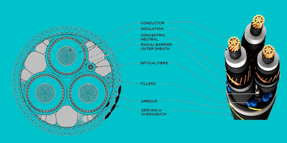 Example of submarine cable